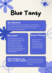 Blue Tansy Tallow Moisturizer